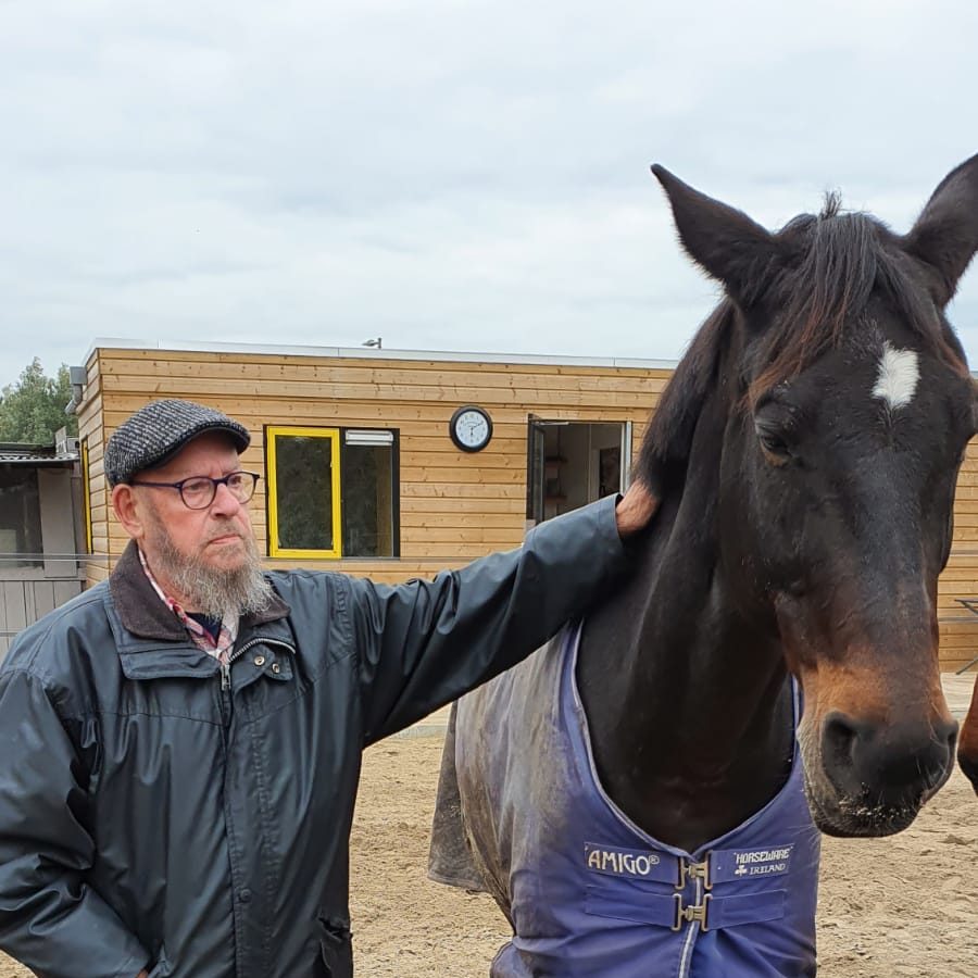 paardencoaching